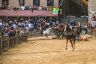Palio Straordinario: la fotogallery della corsa